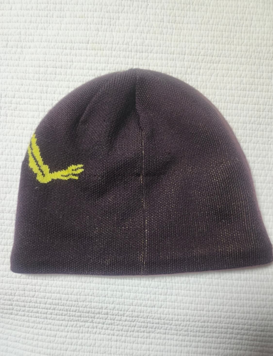 아크테릭스비니(58cm) 상품이미지2