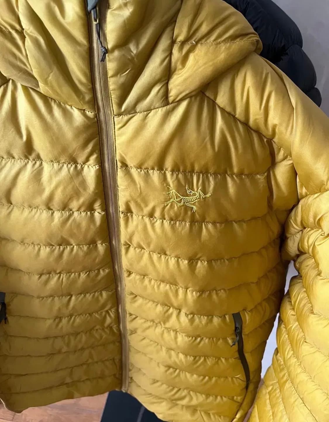 [L] 아크테릭스 세륨LT Golden palm 상품이미지4