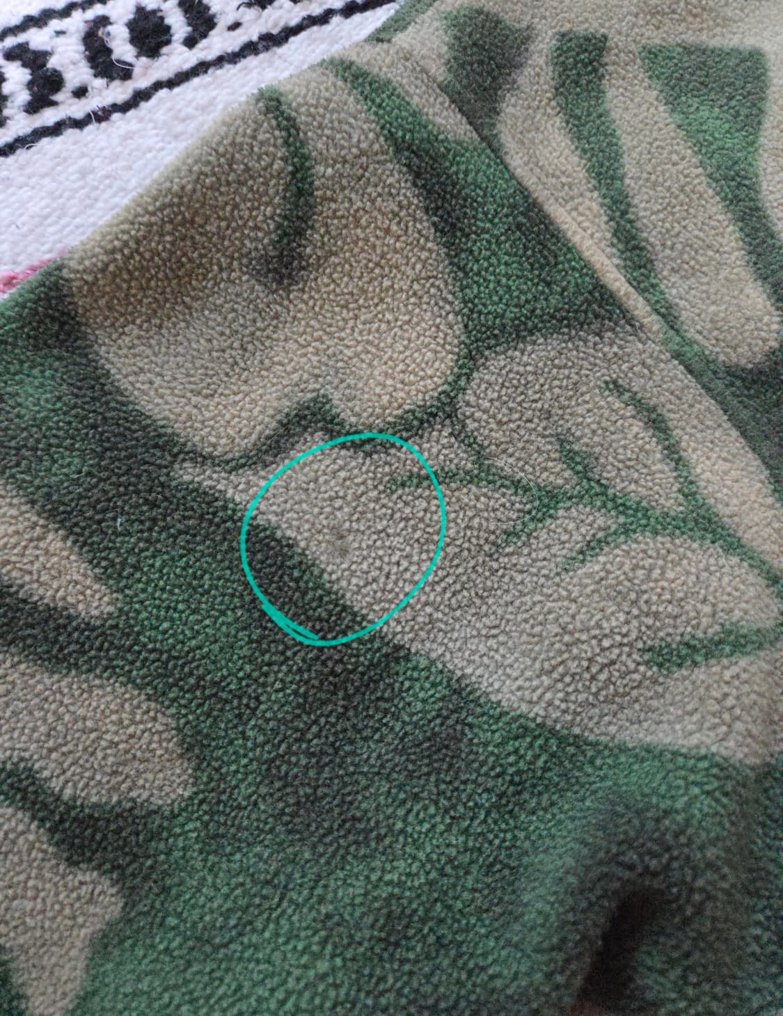 (L)파타고니아 스파이스가든 신칠라 플리스 상품이미지4