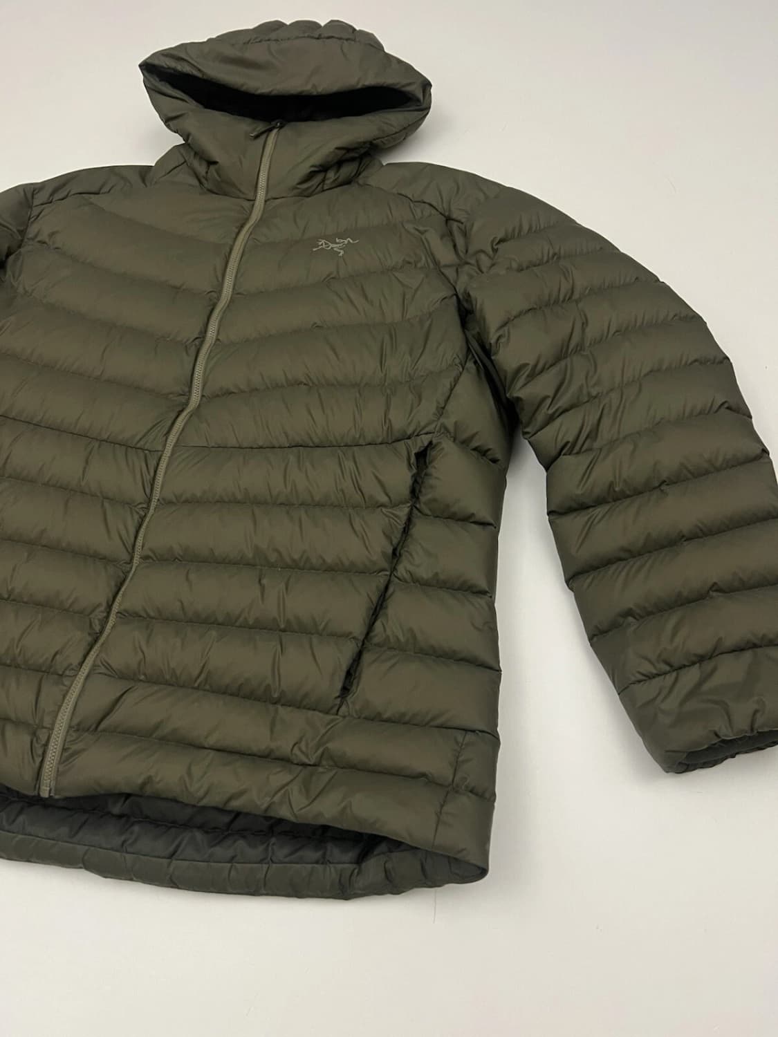 L 아크테릭스 아그리움 후디  타츠 상품이미지4