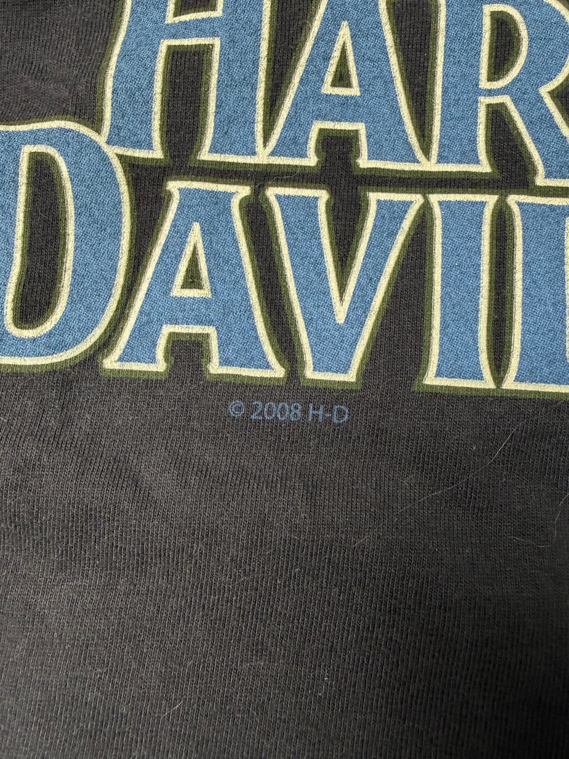 00s Harley Davidson Tee (black) 상품이미지7