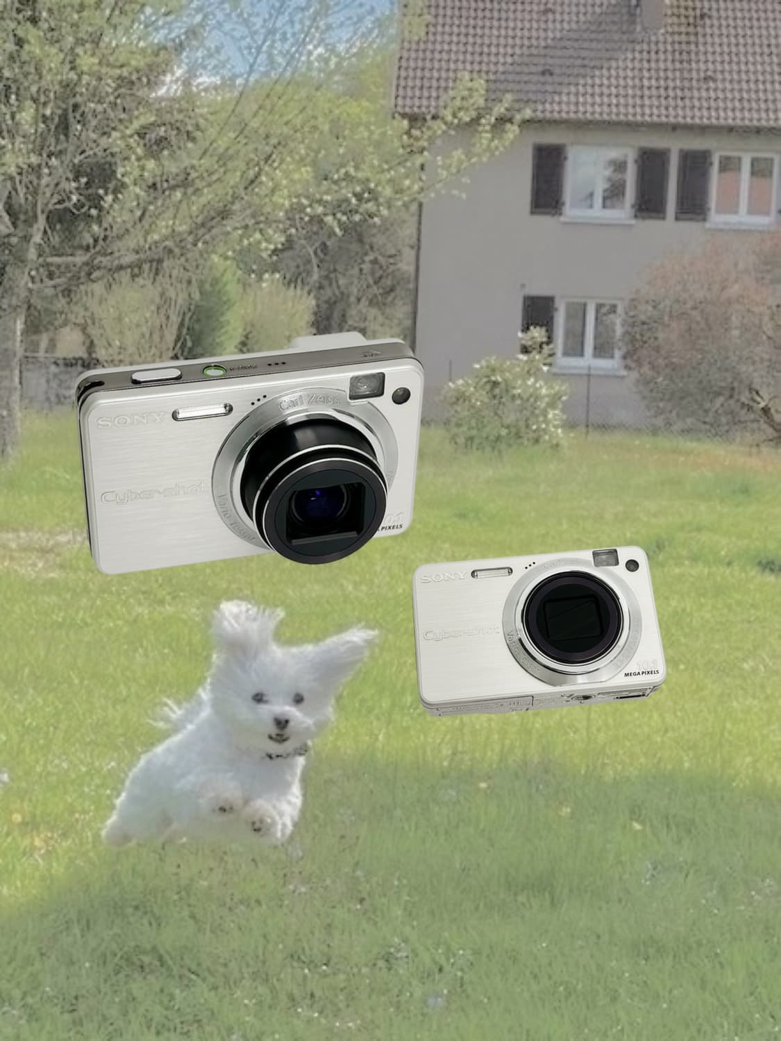 레어!) 소니 사이버샷 w170 Cybershot 빈티지 디카 상품이미지1