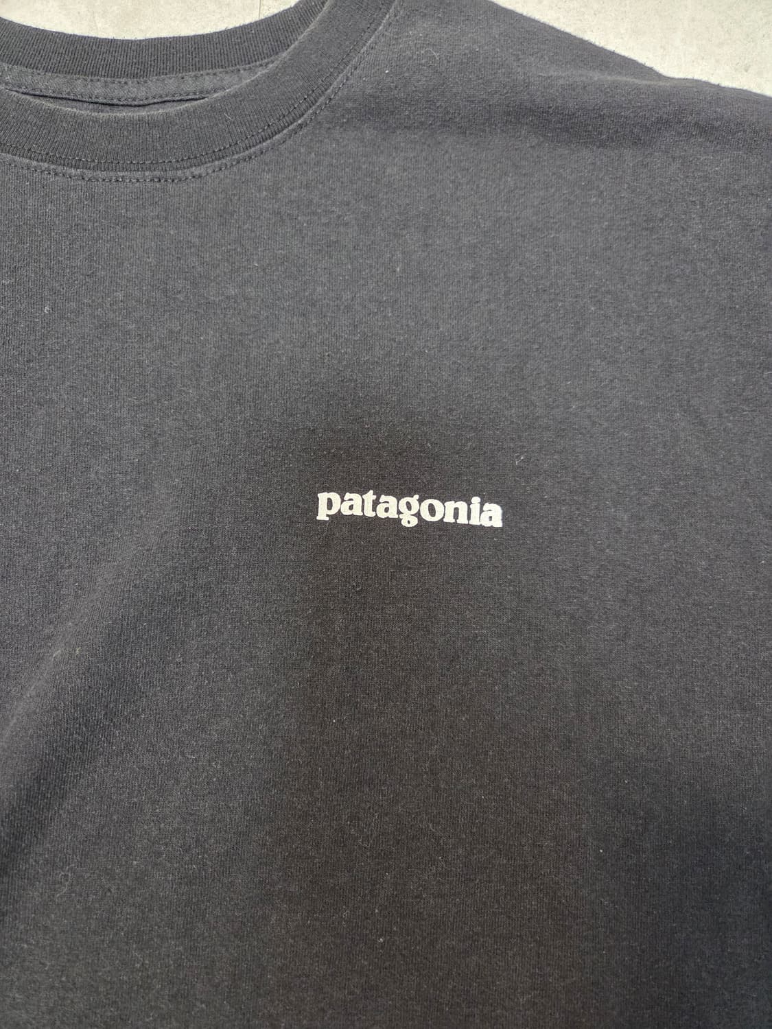 파타고니아 반팔 티셔츠 블랙 상품이미지2