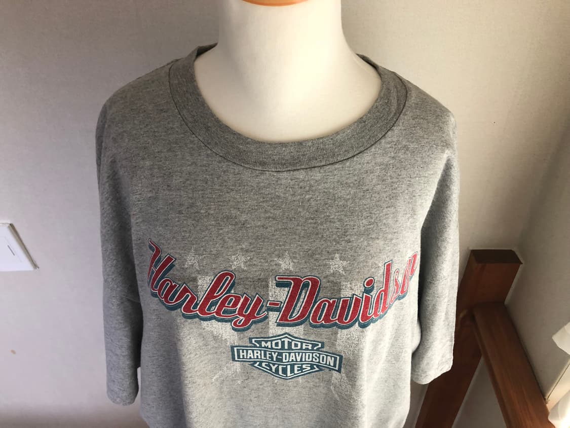 Harley-Davidson / Oversized grey T-shirt 상품이미지8