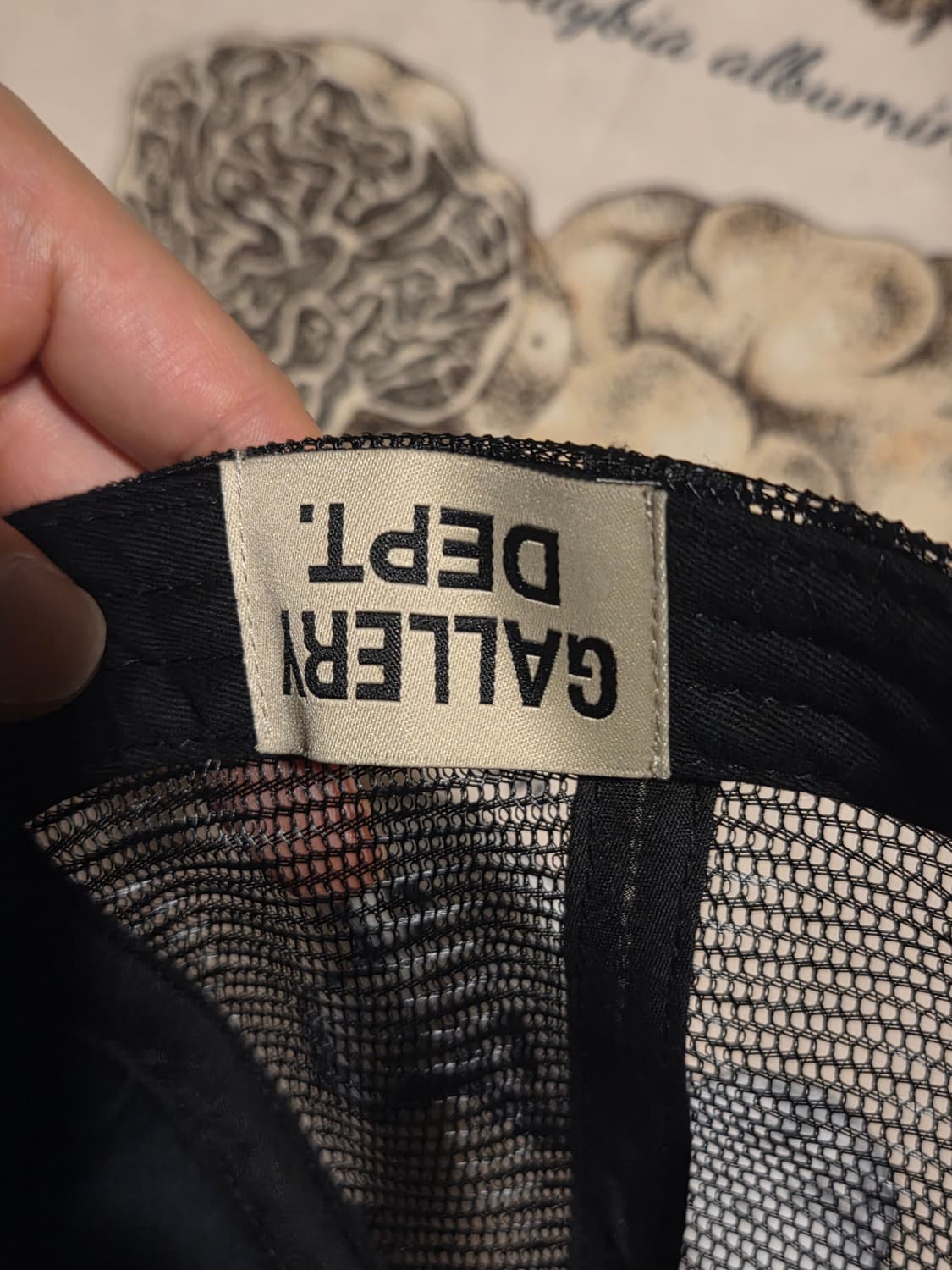 갤러리디파트먼트 트러커캡 상품이미지2