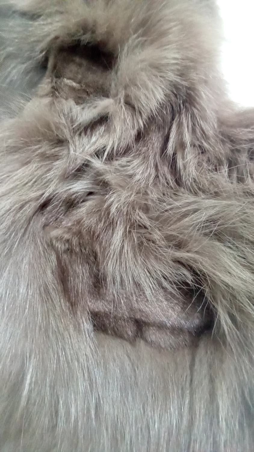 베스티벨리 북미산 폭스퍼 베스트 상품이미지7