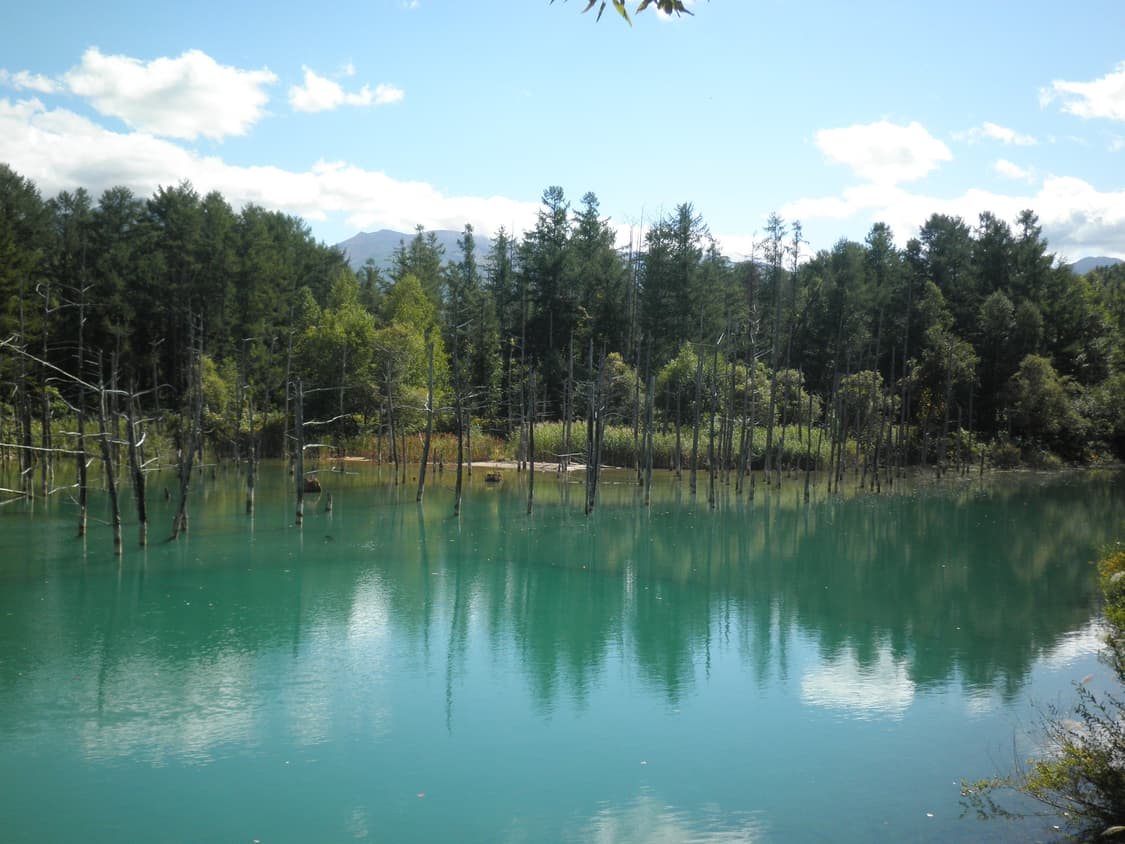 올림푸스 뮤 5010 풀박스 상품이미지9