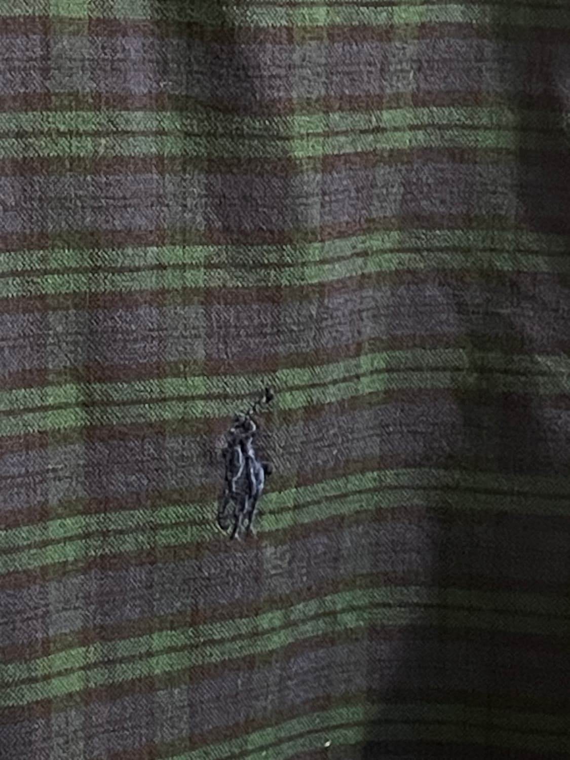 폴로 랄프로렌 체크  셔츠 상품이미지4