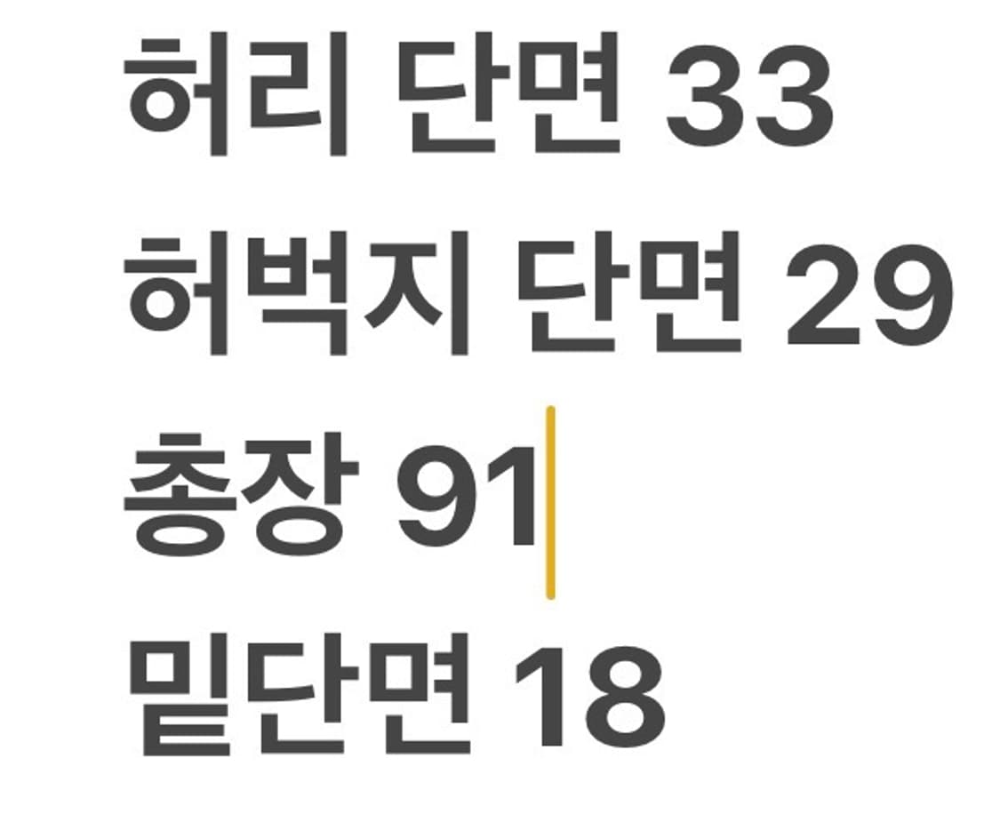 [정품/4] 폴로 랄프로렌 네이비 카고 바지 b8 상품이미지7