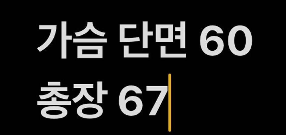 [정품/S] 안젤로비안코 바시티 자켓 b15 상품이미지6