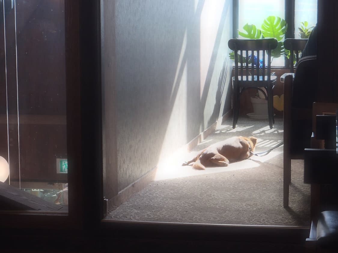 올림푸스 터프 TG-310 블루 Olympus Tough blue 상품이미지8