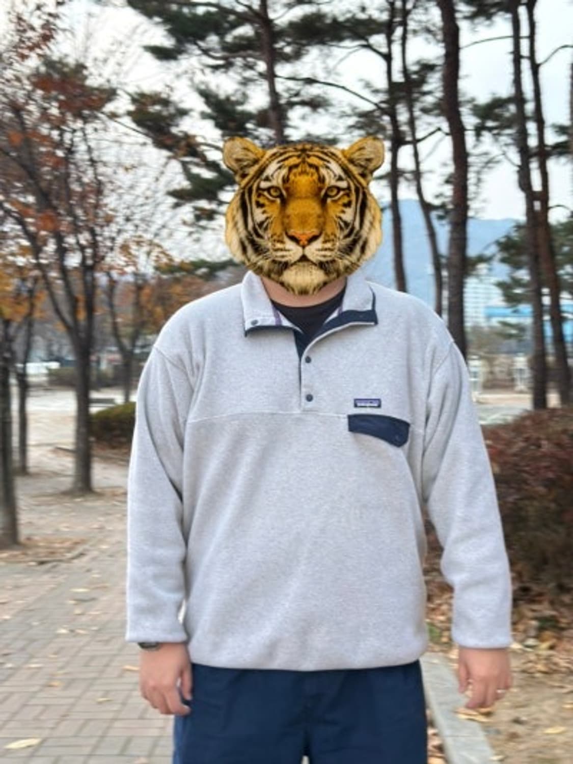 파타고니아 신칠라 오트밀 xxl 2xl 상품이미지4