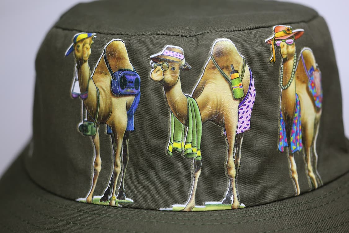 Egypt Camel Souvenir Bucket HA 상품이미지2