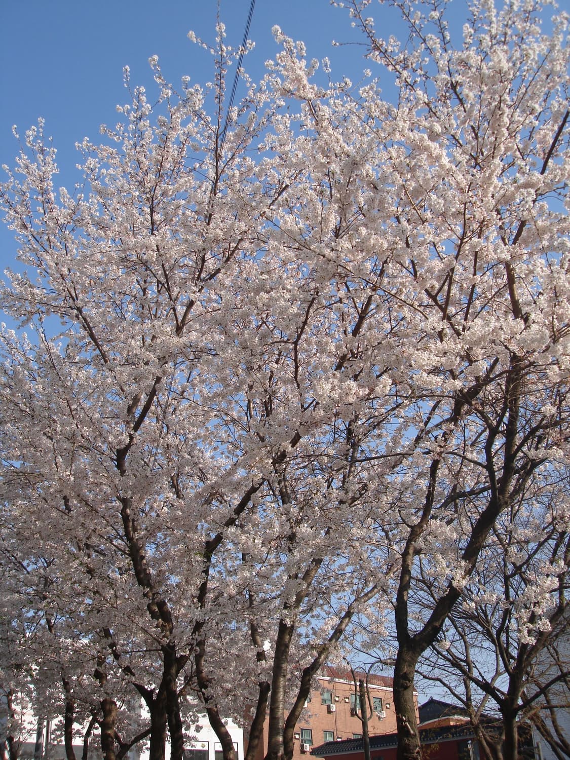 후지 카드결제 상품이미지8