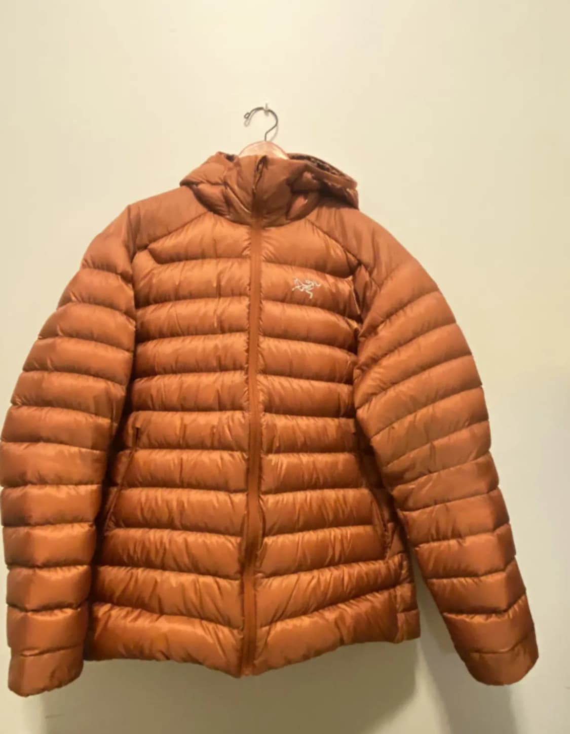 L 아크테릭스 세륨 LT 코모레비 / 후디 상품이미지1