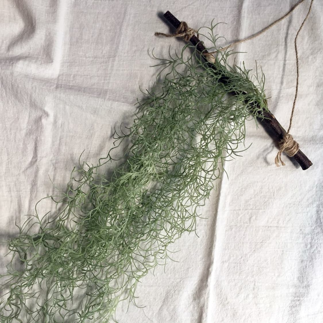 Tilandia Hanging Plant (조화) 상품이미지1