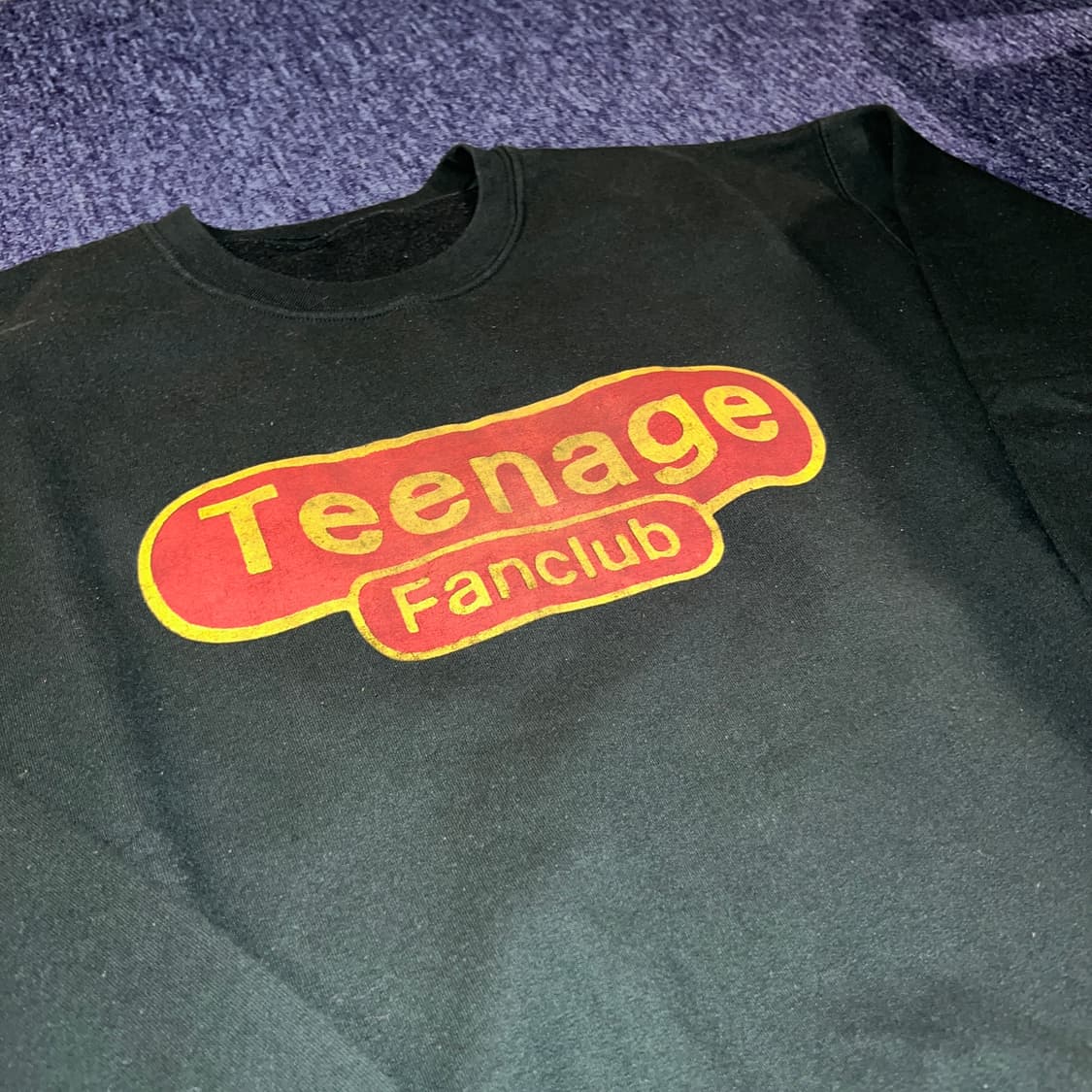 빈티지 00s Teenage Fanclub 로고 스웻셔츠 상품이미지3