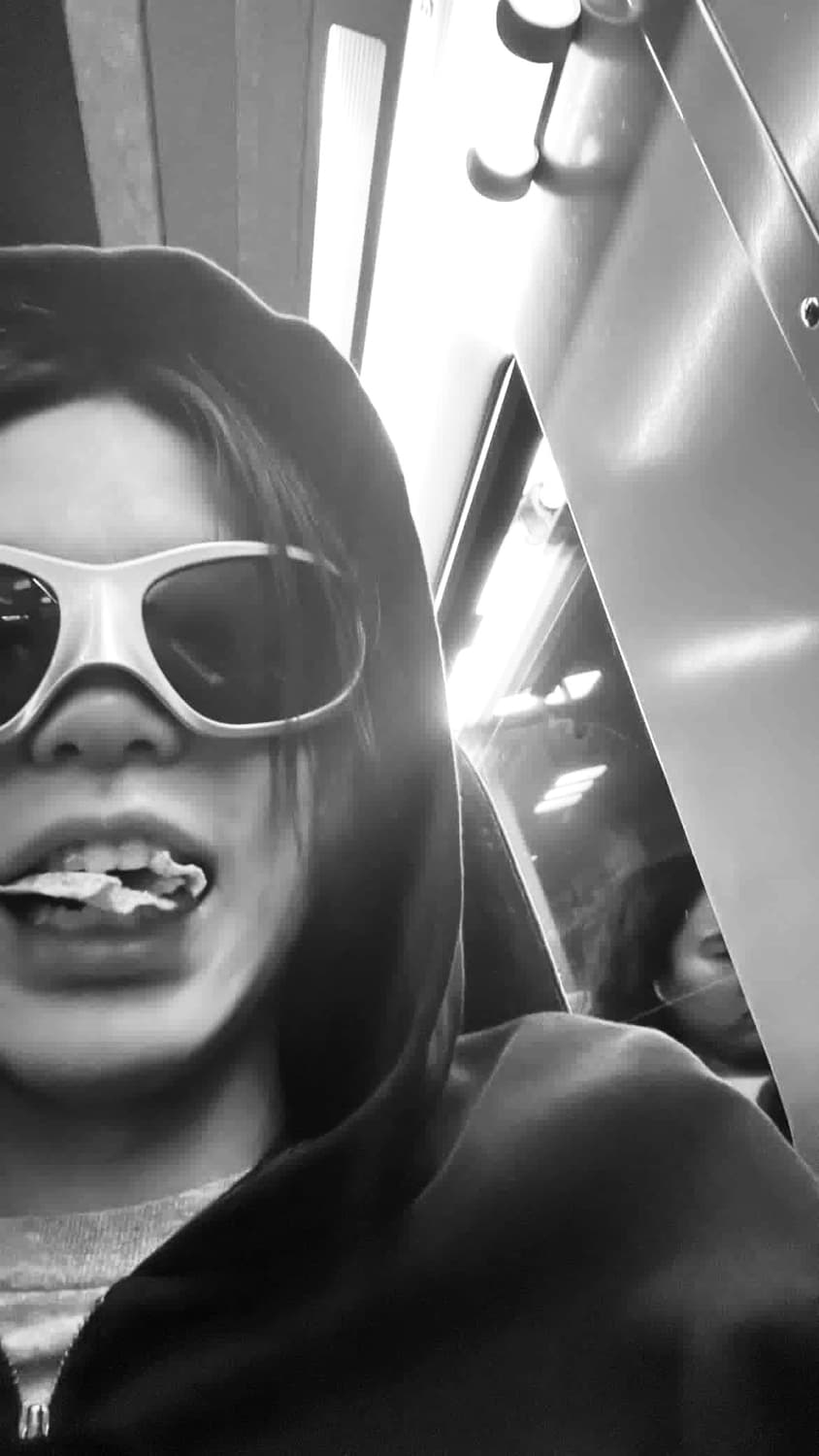 balenciaga skincat xxl (silver) 상품이미지3