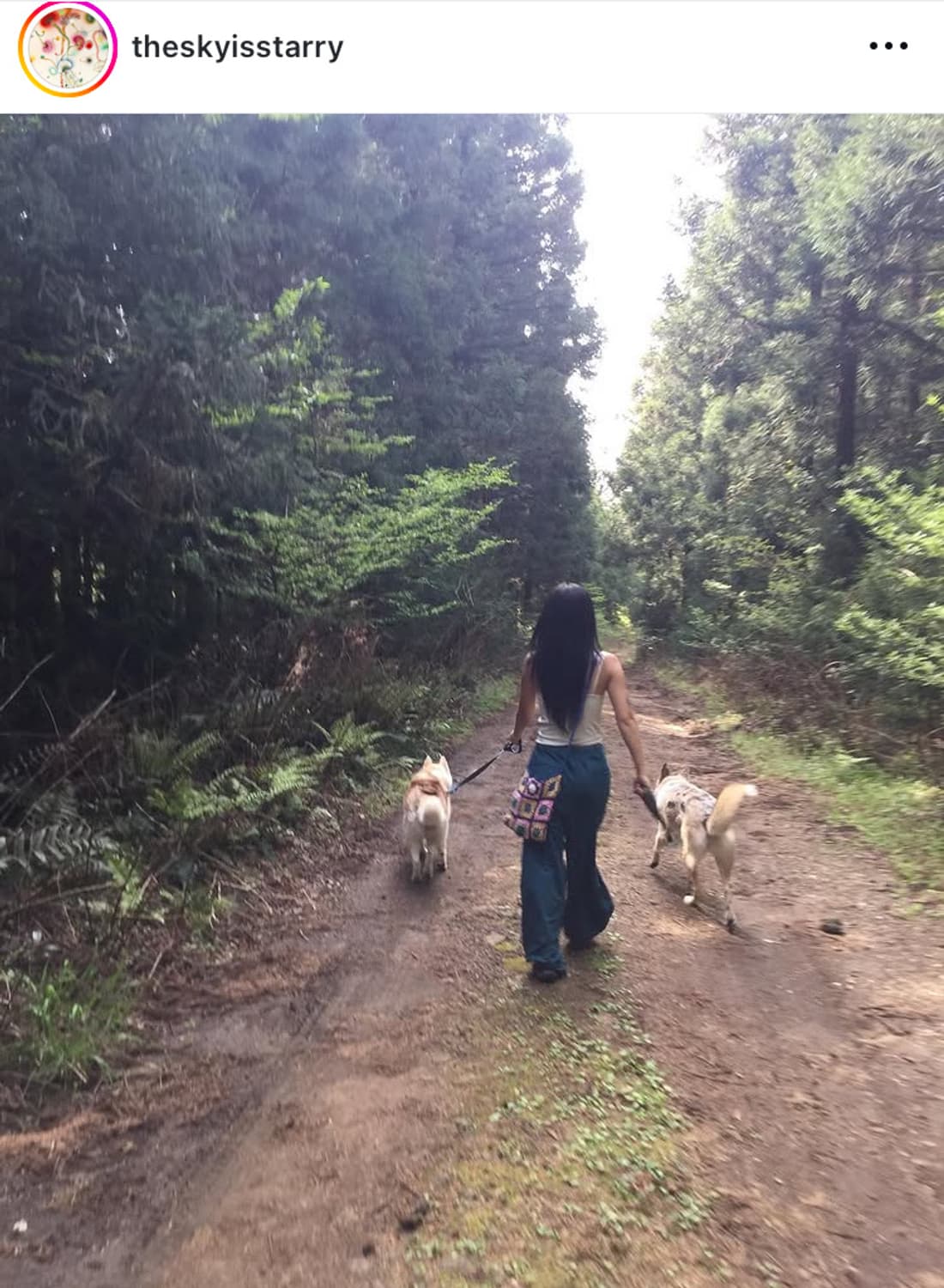 earthjigu 파라슈트 팬츠 상품이미지2