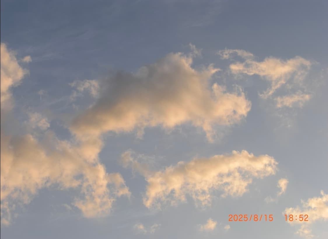 [*인기!⚡️/작례⭕️] 카시오 엑슬림 EX-Z1050 빈티지 디카 상품이미지7