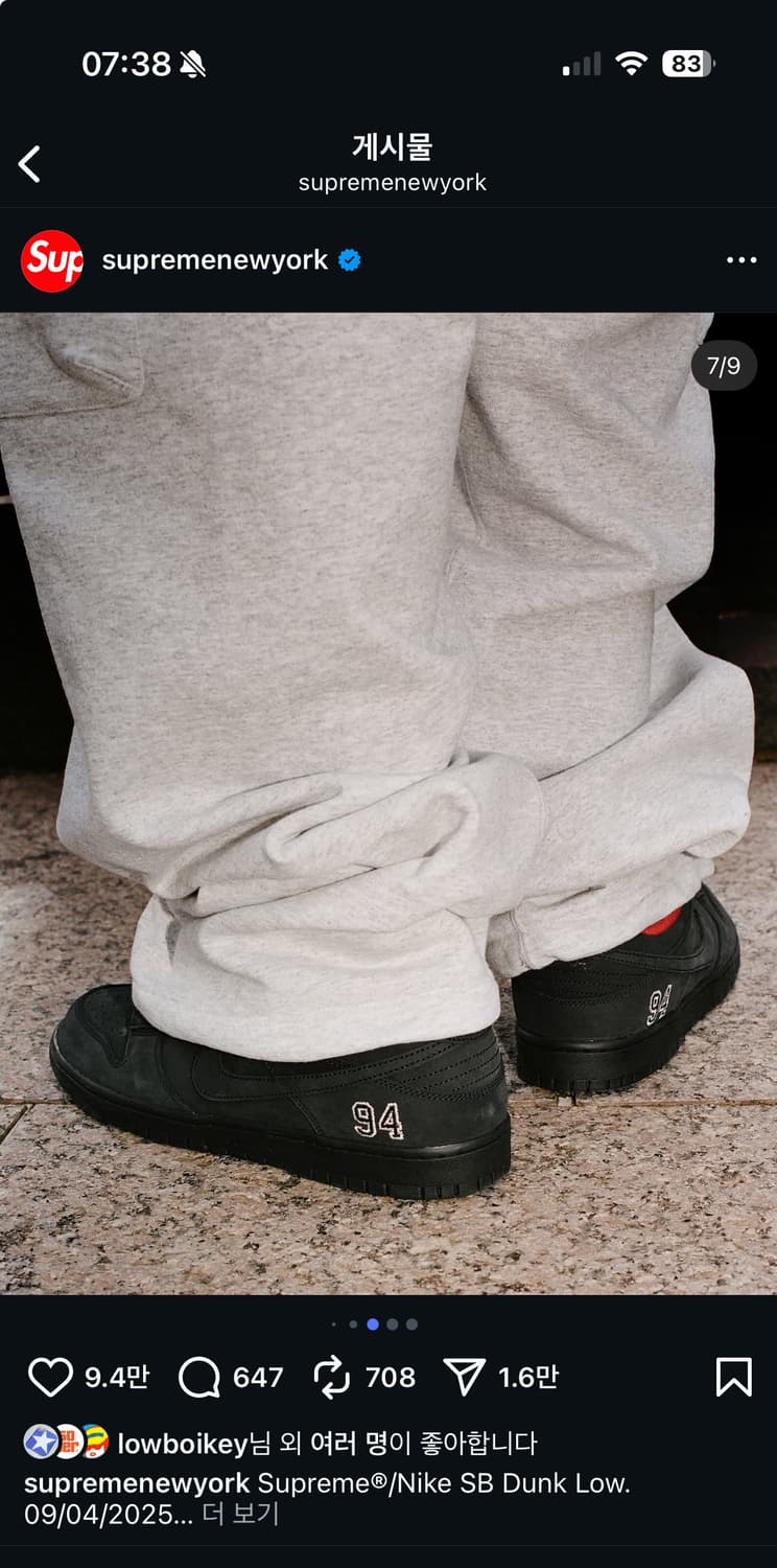 슈프림 sb덩크 상품이미지8