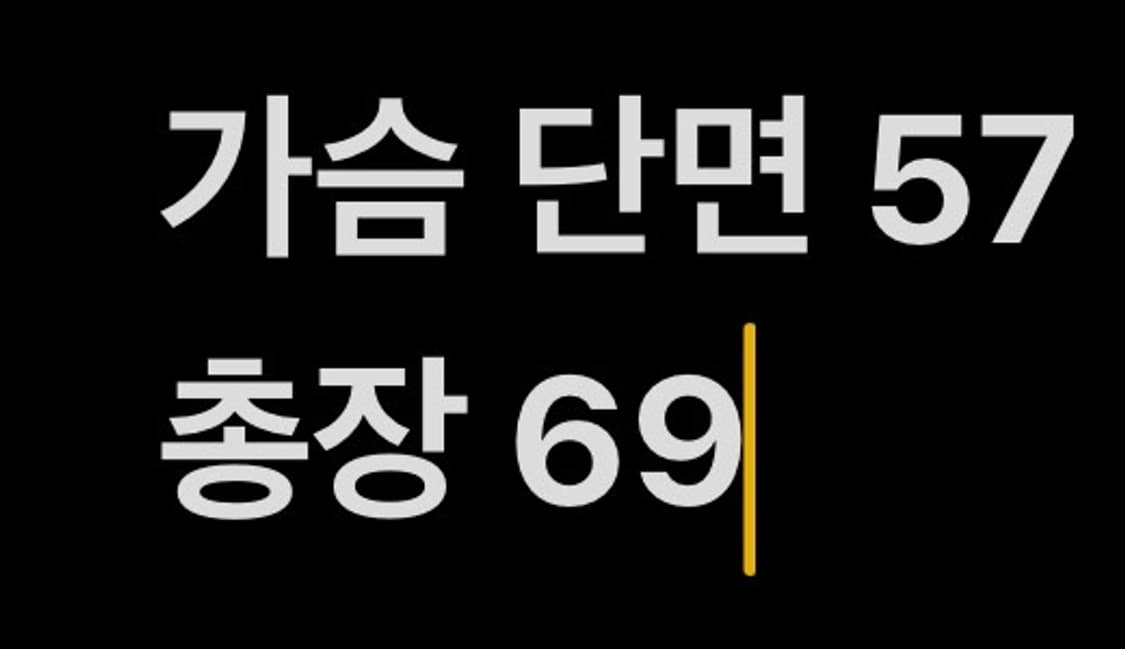 [ 정품/L,100 ] 내셔널지오그래픽 유틸리티 경량 패딩 자켓 b16 상품이미지8