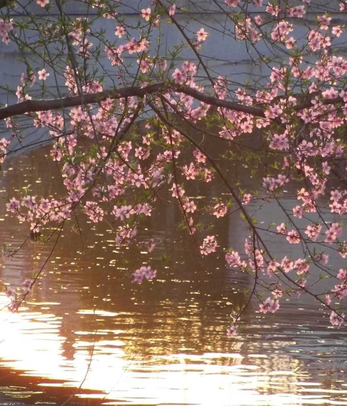 고성능/날짜각인/CASIO EX FC150 🍷작례0 상품이미지8