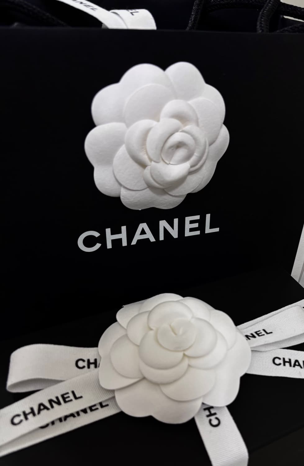 샤넬 26년도 오벌 선글라스 상품이미지1