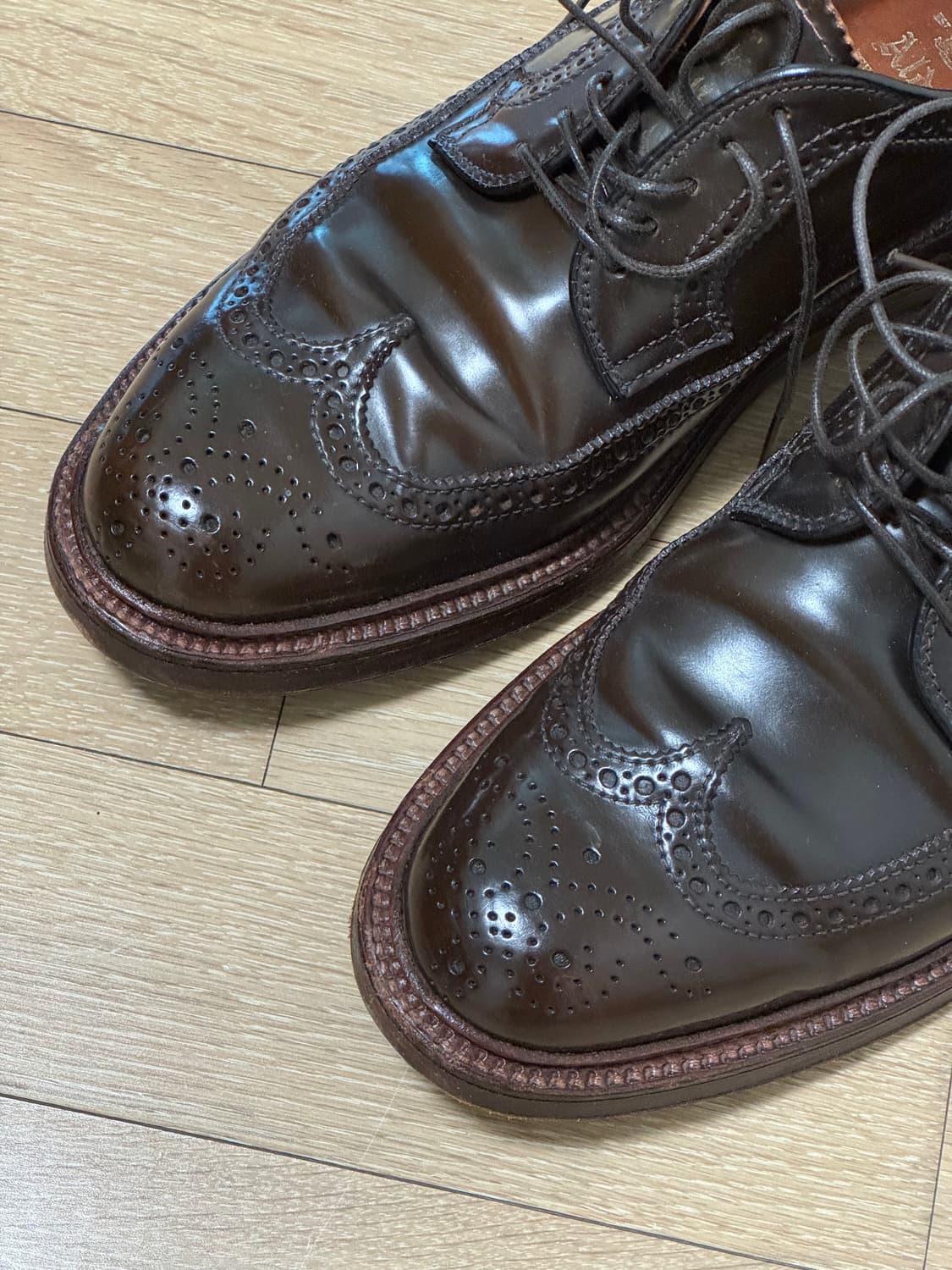 알든 시가쉘 코도반 롱윙  상품이미지3