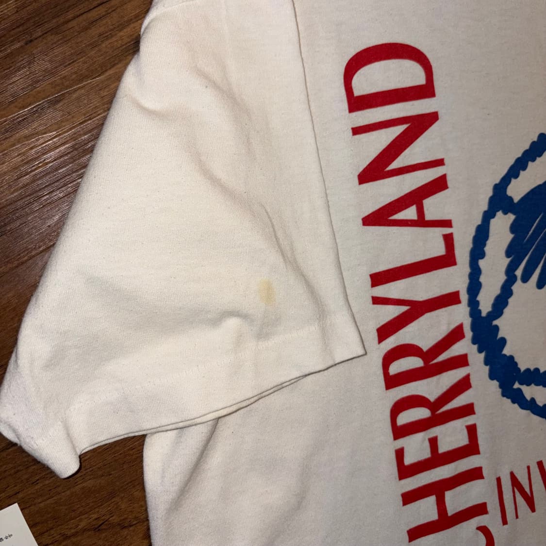 90S CHERRYLAND 싱글스티치 티셔츠 상품이미지5