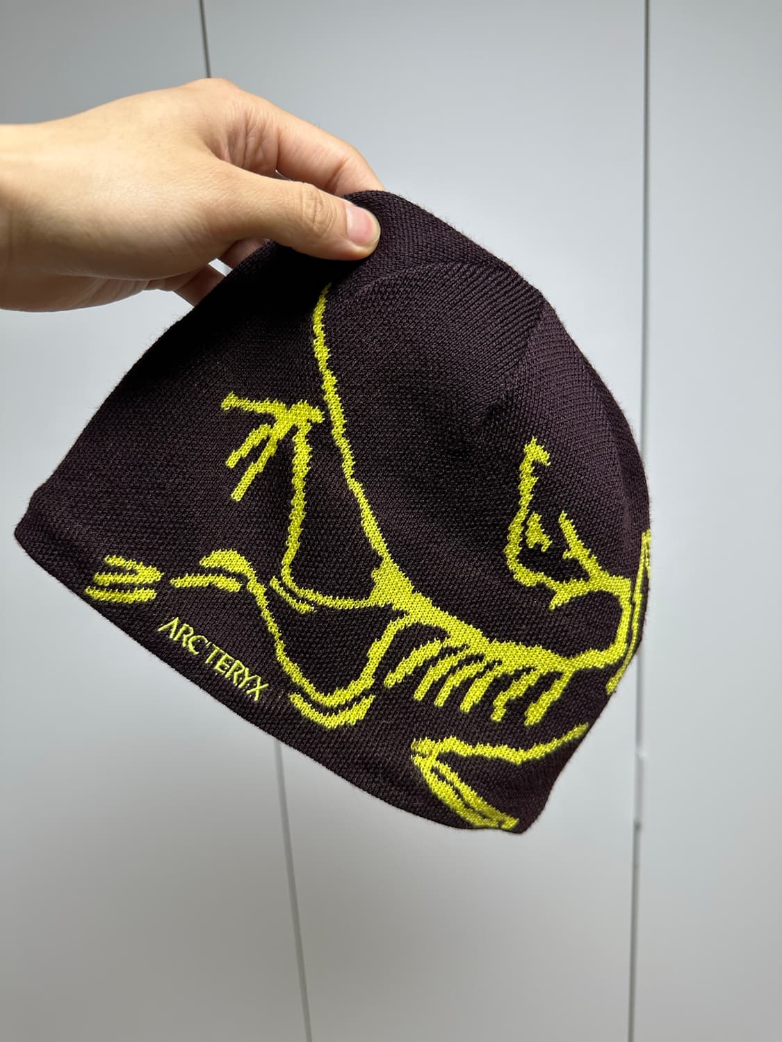 아크테릭스 버드 헤드 비니 급처 상품이미지3