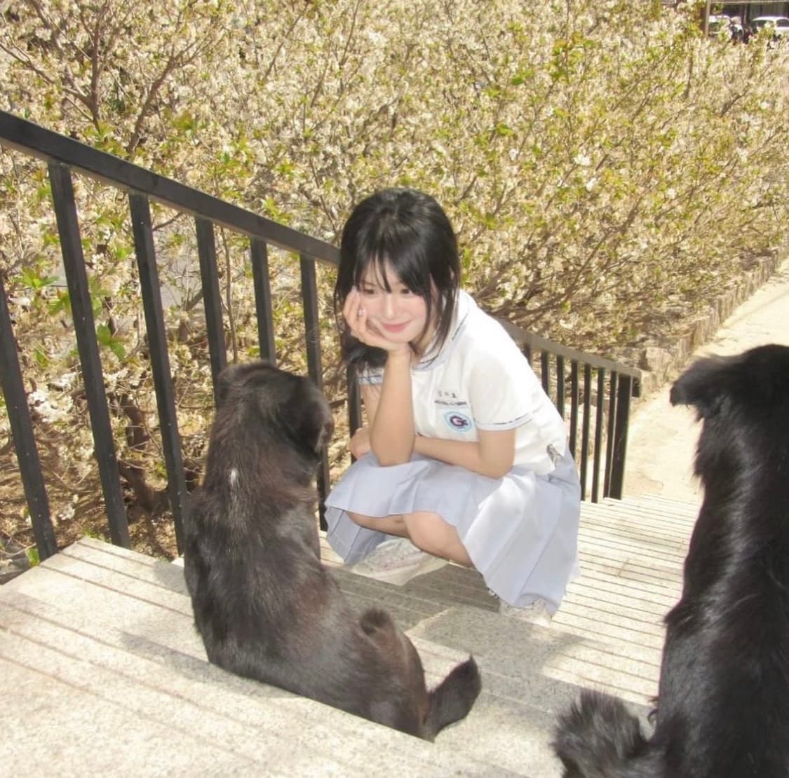 [뽀용] [작례O] 올림푸스 뮤 1060 OLYMPUS μ 디카 상품이미지3