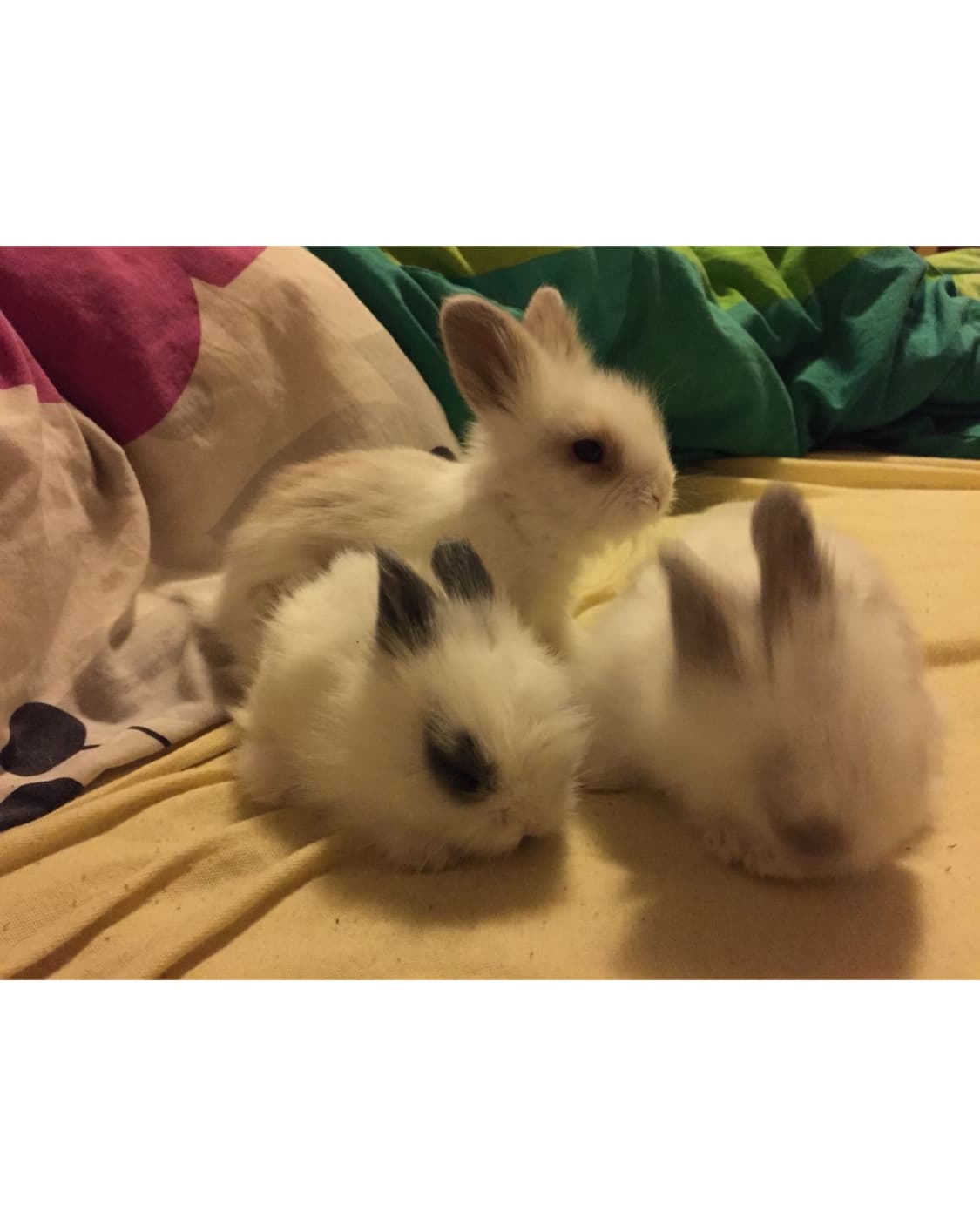 인스타그램 활동 기념 . . . 10% 할인 진행합니다요 !! 상품이미지3