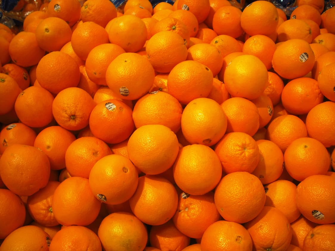 후지필름 파인픽스 J10 상품이미지8