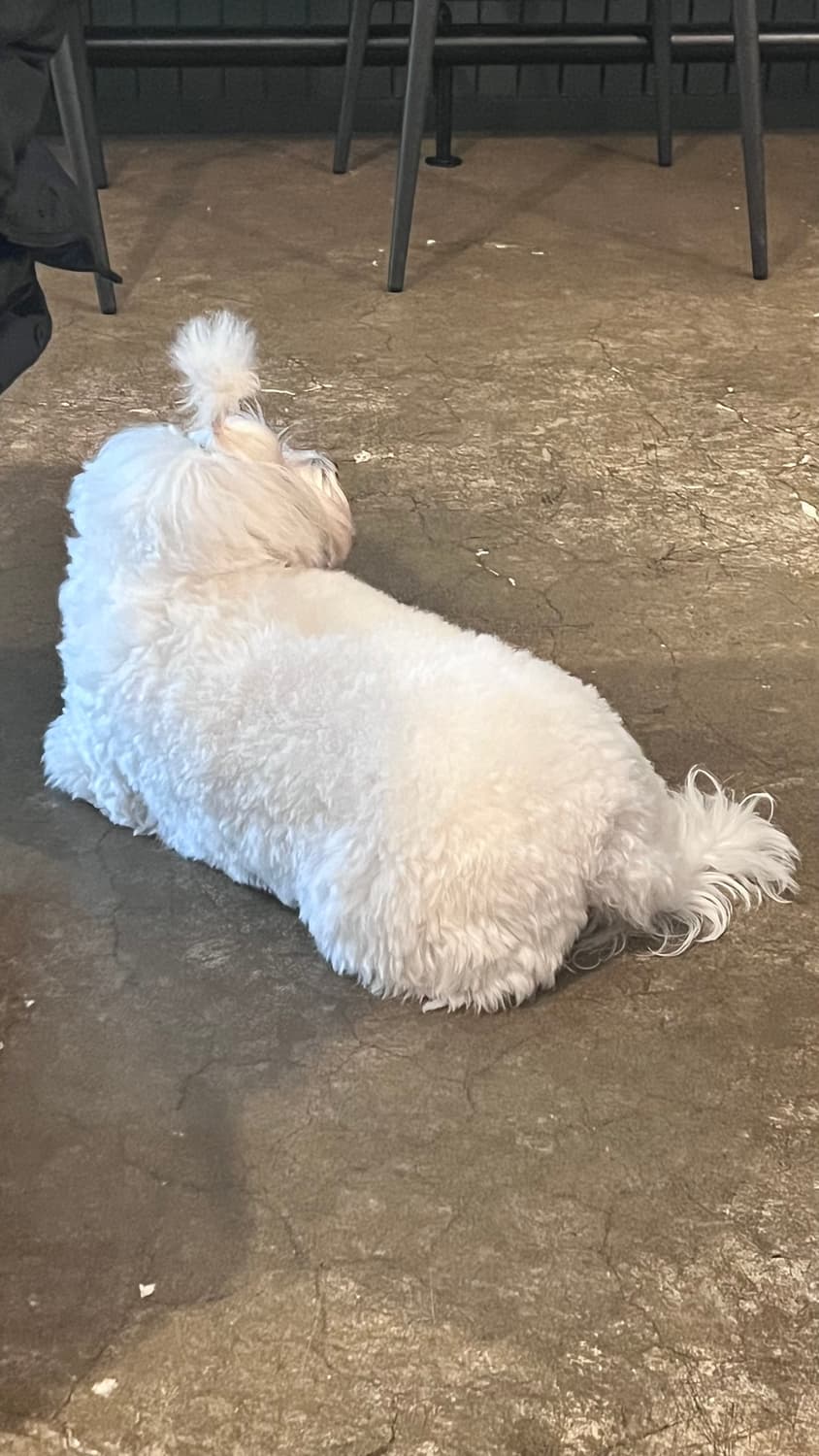 모든 제품 쿨거래시 더깎아드립니다 상품이미지1