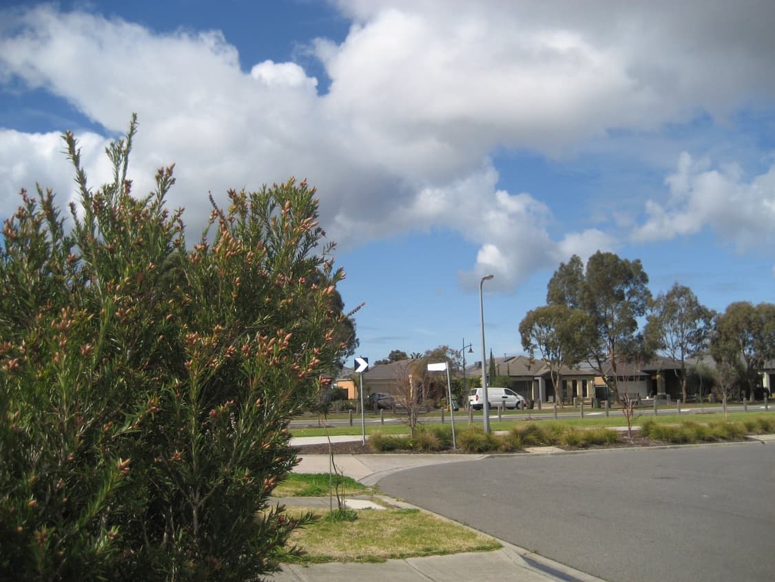 캐논 익서스 65 디지털 카메라 판매합니다. 상품이미지5