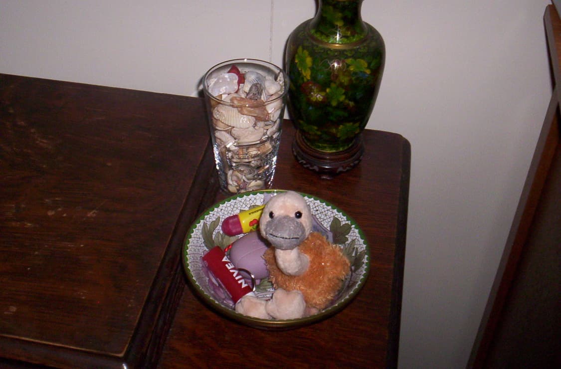 코닥 이지쉐어 cx 7310 (직접 찍은 샘플사진🙆‍♂️) 상품이미지4