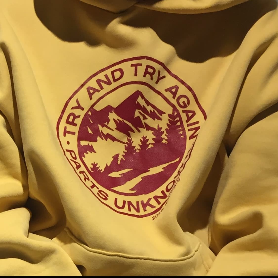 Collect pieces 컬렉트피시스 옐로우 후드 L 상품이미지3