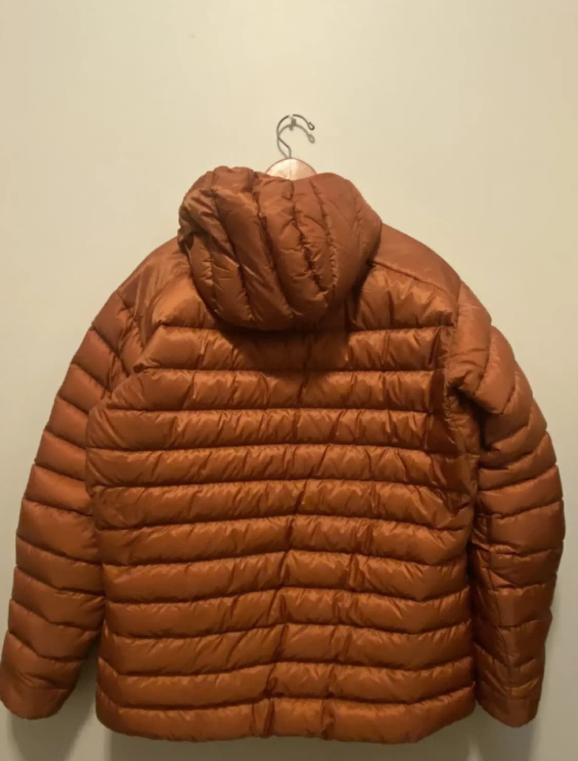 L 아크테릭스 세륨 LT 코모레비 / 후디 상품이미지2