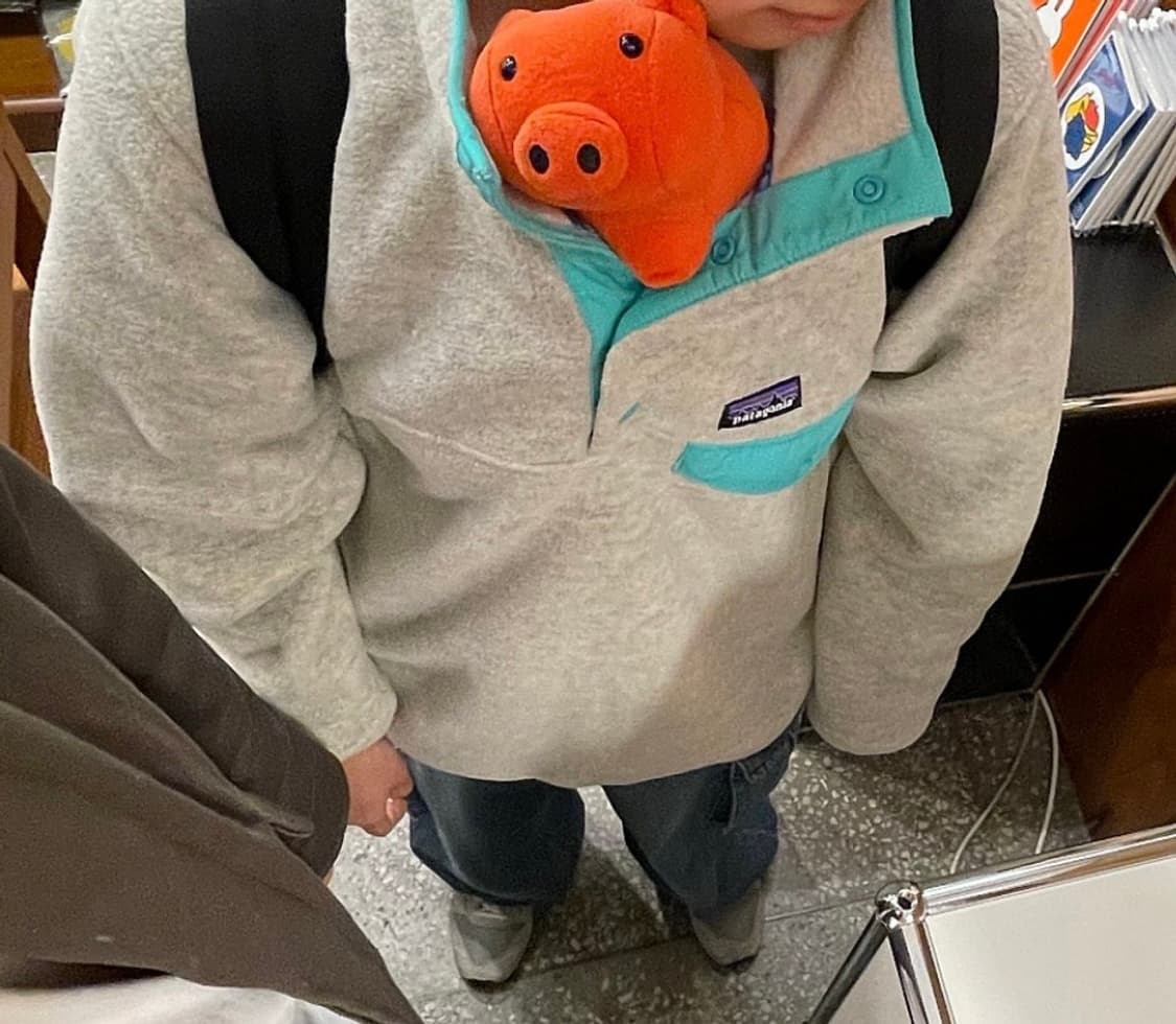 파타고니아 신칠라 오트밀 상품이미지1