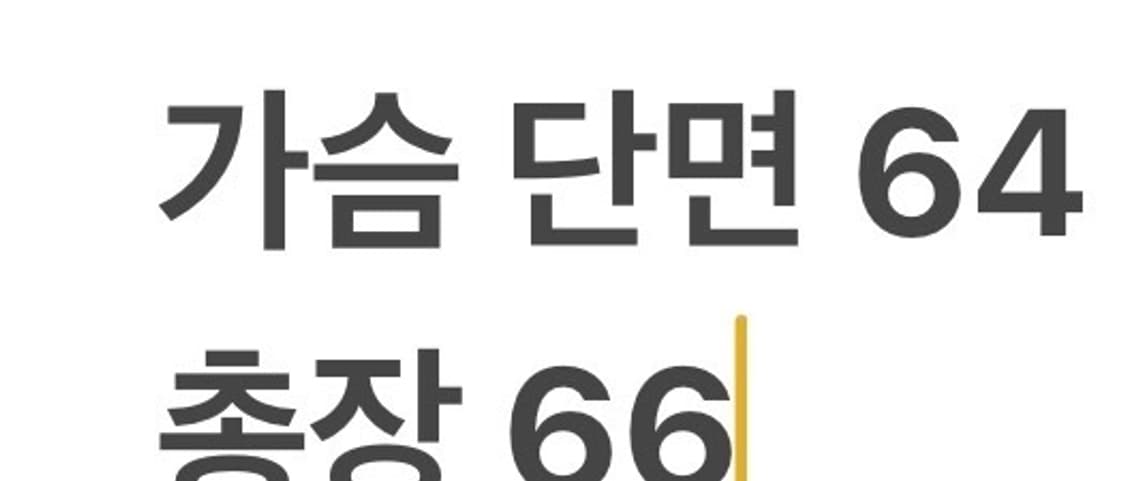 [정품/XL] 나이키 스포츠웨어 제로 그래비티 빅로고 패딩 베스트 b15 상품이미지7