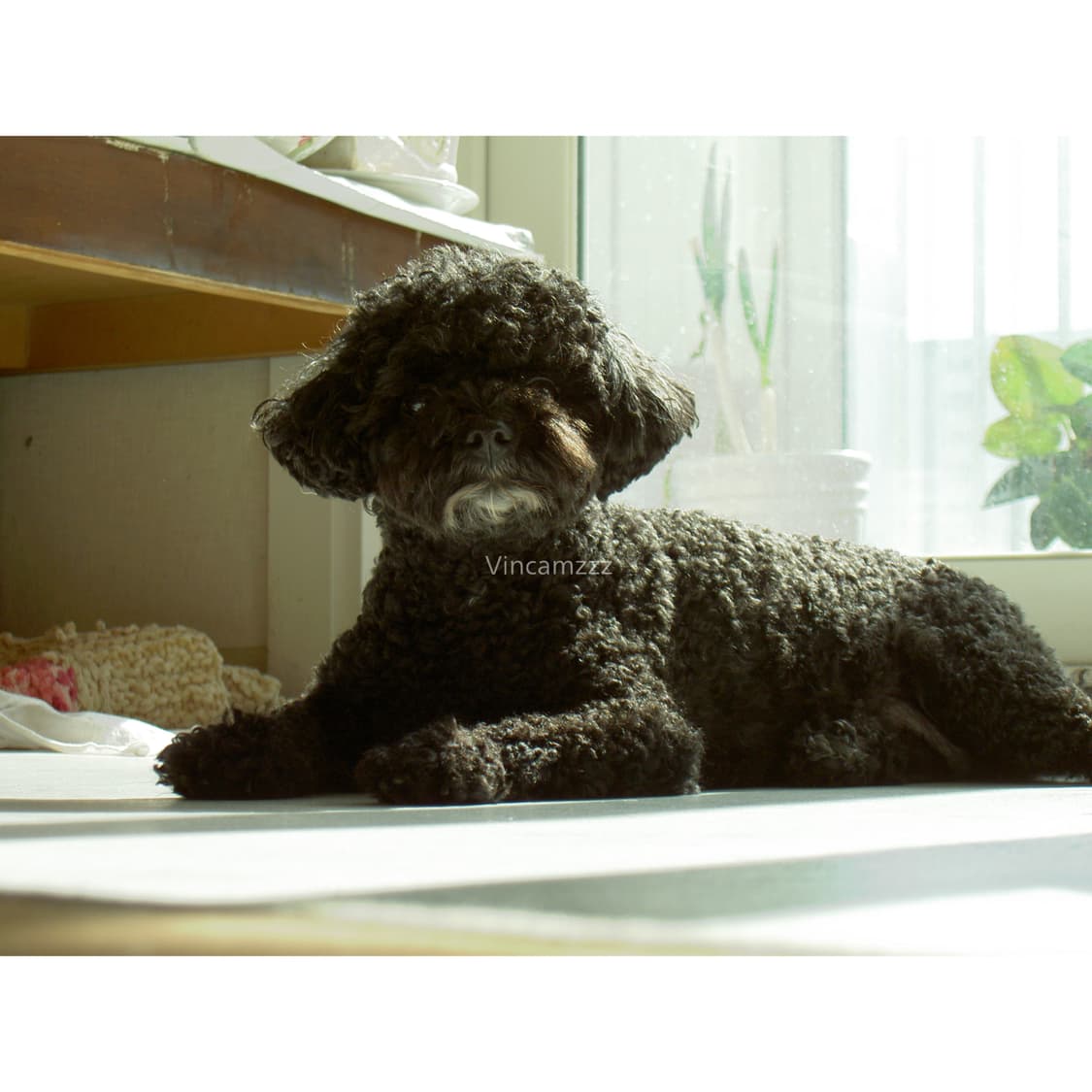 [강추] Minolta 미놀타 DiMAGE 디마지 G600 상품이미지3