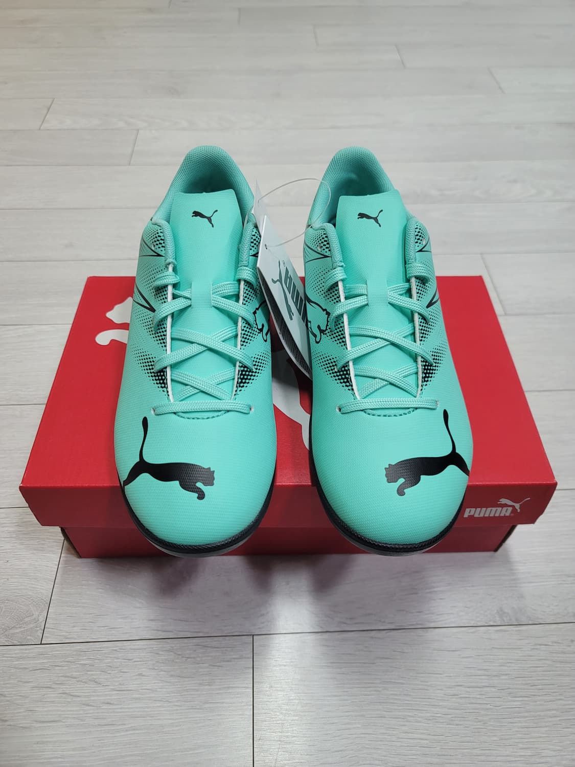 (240)푸마 풋살화 아타칸토 FG/AG Jr.[대전 직거래도 가능] 상품이미지5