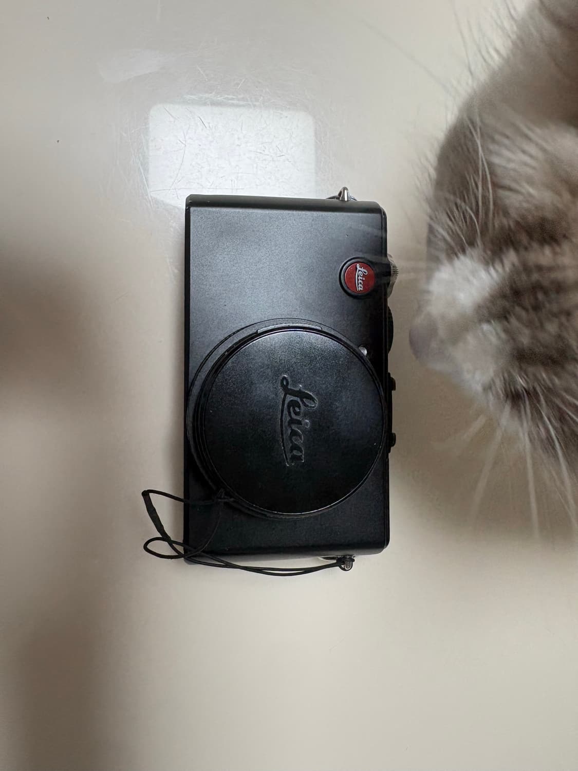 라이카 D-LUX 4 상품이미지2