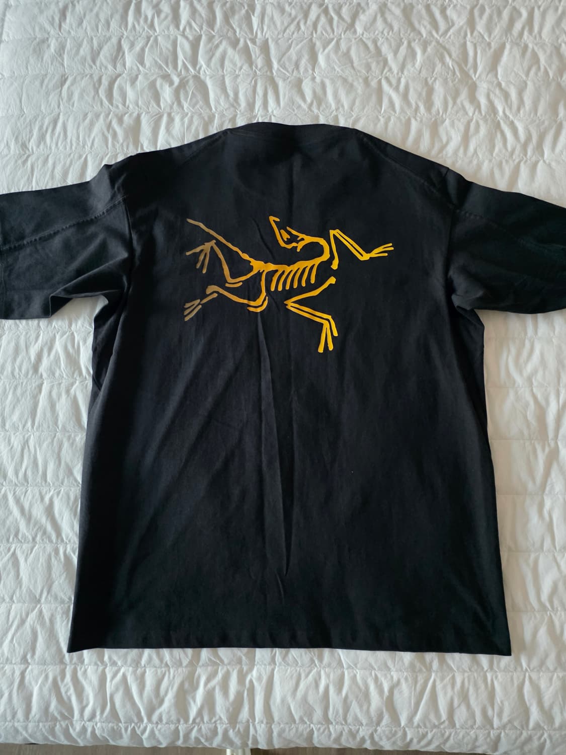 아크테릭스 티셔츠 M 상품이미지1