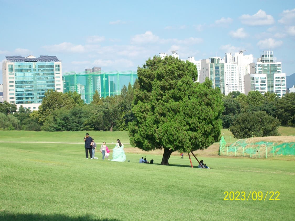 필름색감&입문!) Kodak Easyshare LS420 디카 카메라 상품이미지4