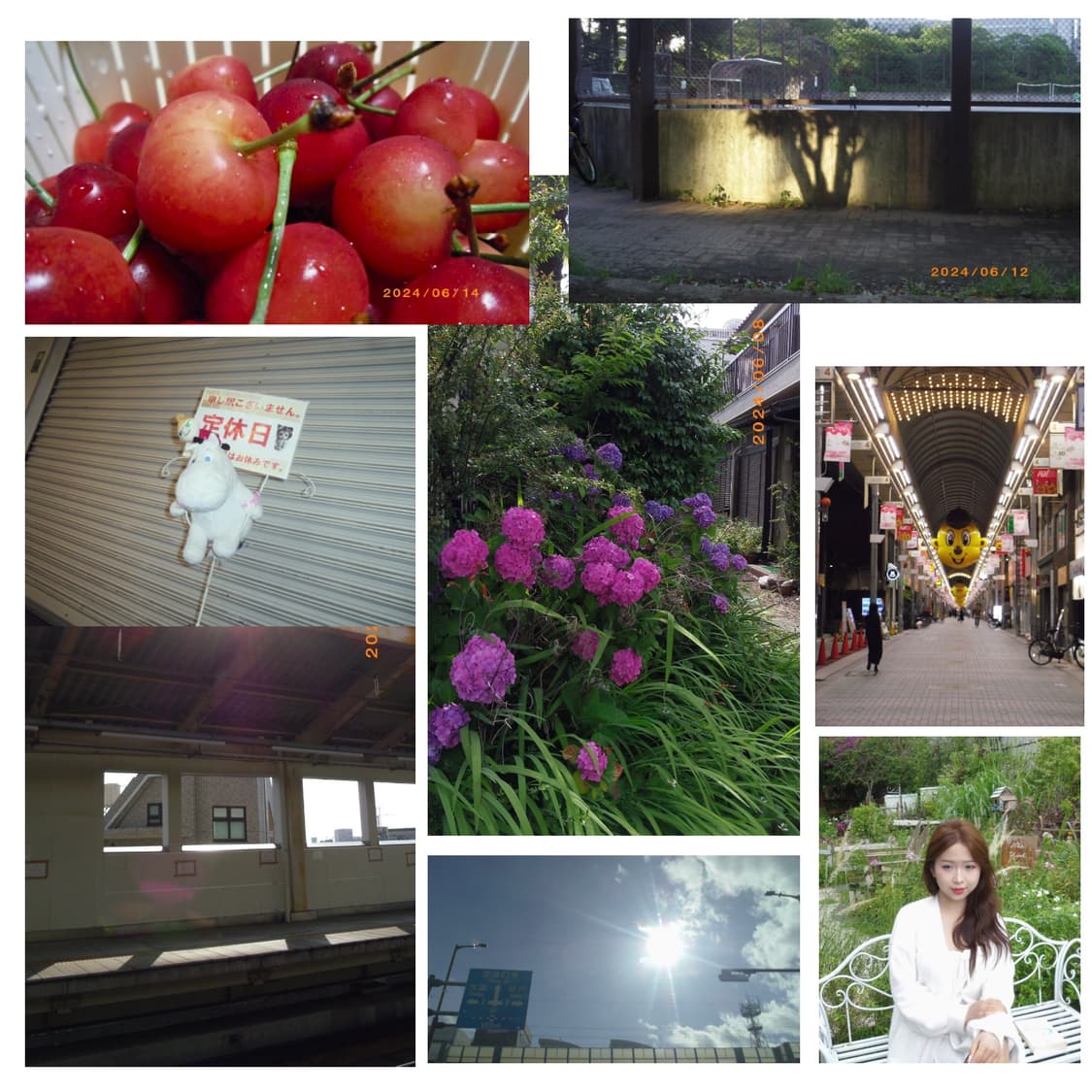 디카 펜탁스 ls465 (작례0) 상품이미지4