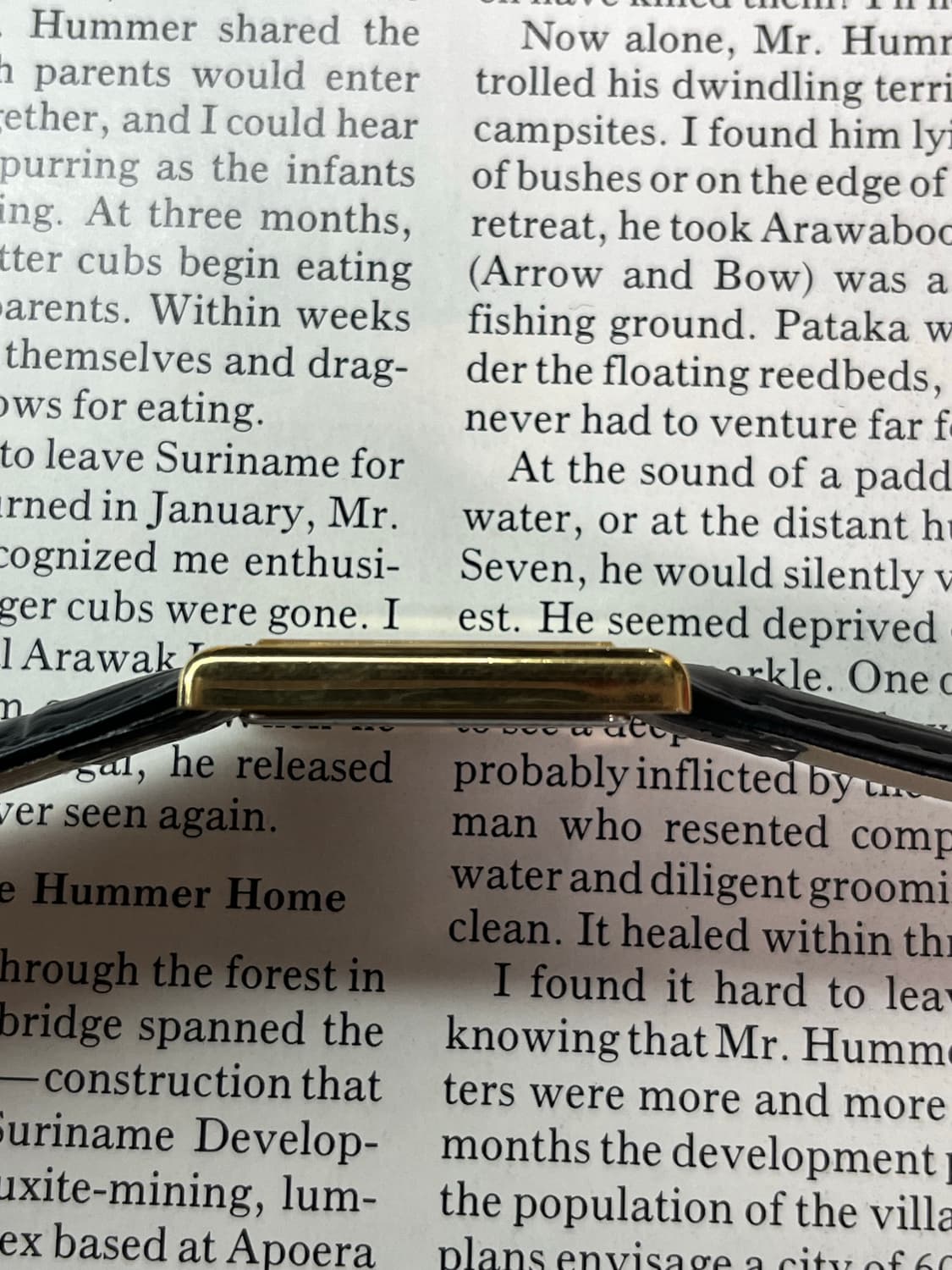 세이코 탱크 쿼츠 7N01-5B40 상품이미지6