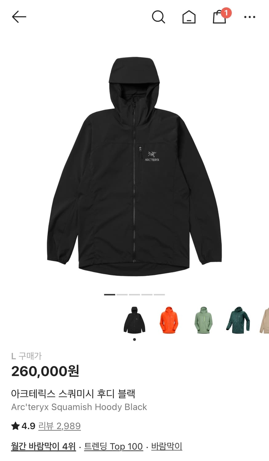 [L] 아크테릭스 스쿼미시 후디 블랙 상품이미지1