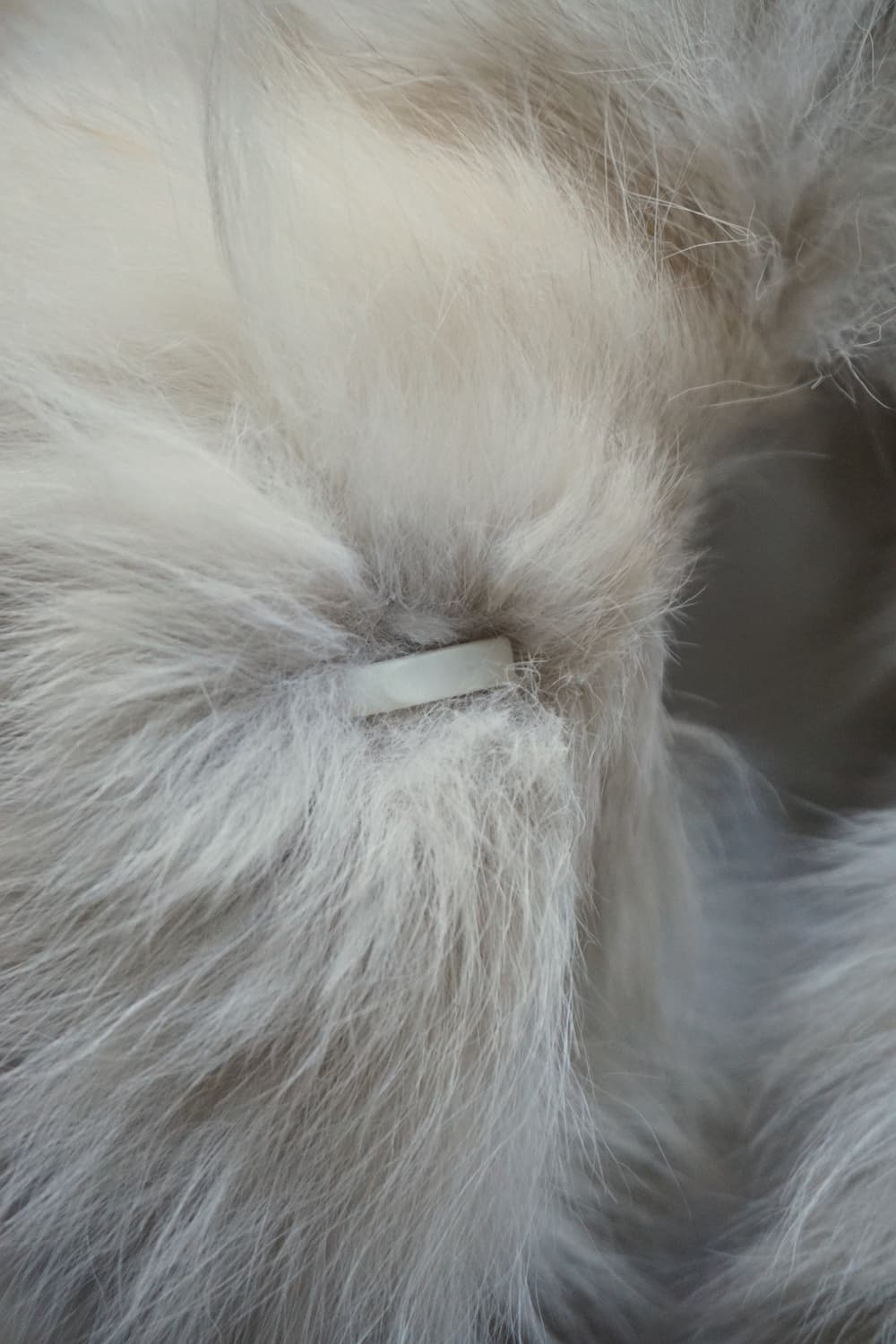 FOX 상품이미지8